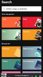 Spotify capture 21