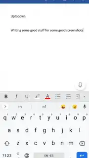Microsoft Word capture 13