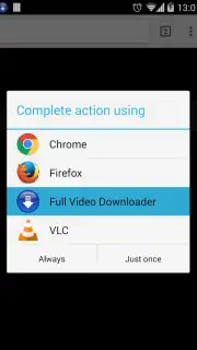Full Video Downloader capture 2
