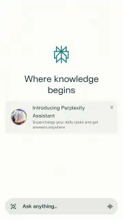Perplexity capture 1