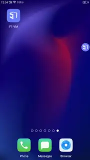 F1 VM capture 4