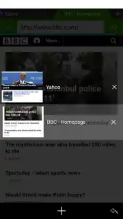 Web Browser capture 8