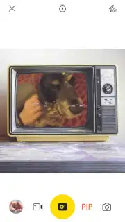 V Camera capture 3