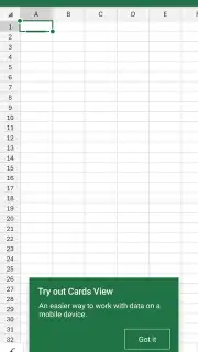 Microsoft Excel capture 5