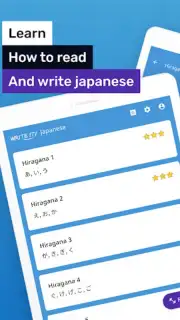 Write Japanese capture 11