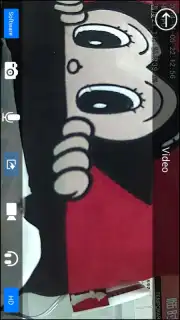 NVSIP capture 3