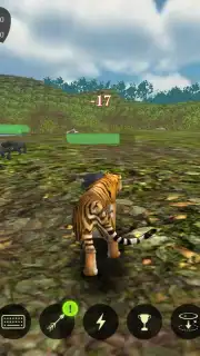 The Tiger capture 10