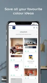 Dulux Visualizer IN capture 3
