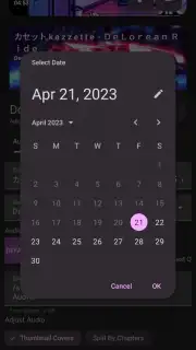 YTDLnis capture 6