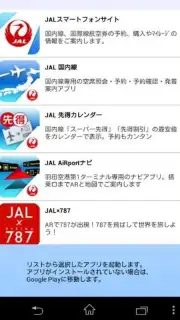 JAL Schedule capture 2