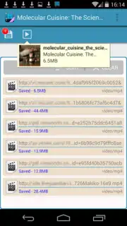 AVD Android Video Downloader capture 1