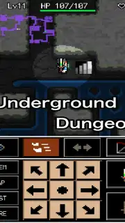 Rogue Hero capture 5