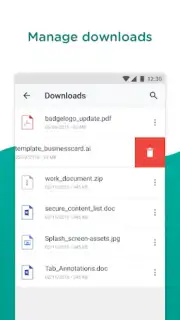Web - Workspace ONE capture 13