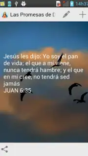 Promesas capture 7