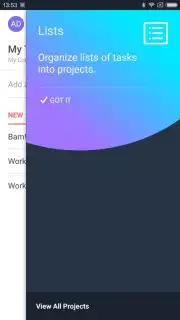 Asana capture 3