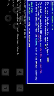aDosBox capture 2