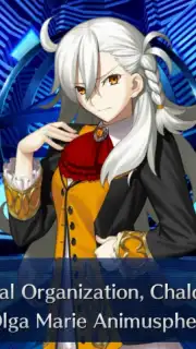 Fate/Grand Order capture 3