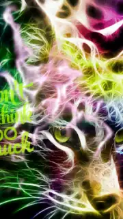 Wallpapers capture 1