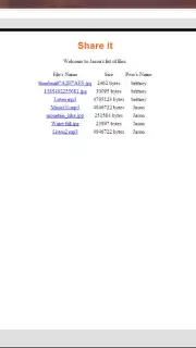 Share it capture 3