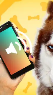 Собачий Переводчик capture 2