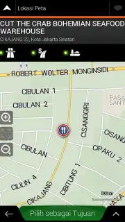 iGO capture 8