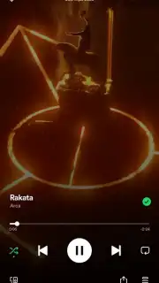 Spotify capture 8