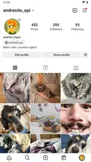 Honista capture 7