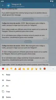 Telegram X capture 27
