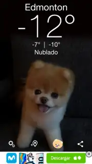 Boo Weather capture 2