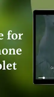 Goat Sounds capture 5