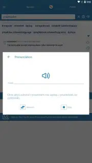 Reverso Translation Dictionary capture 14