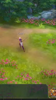 Legacy of Destiny capture 8