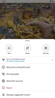 Honista capture 13