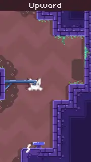 Cat Bird capture 6
