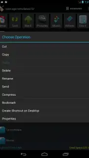 SD Card Manager capture 3
