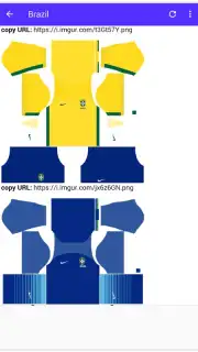 DLS Kits capture 14
