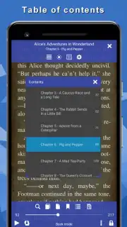 TTS Reader capture 2