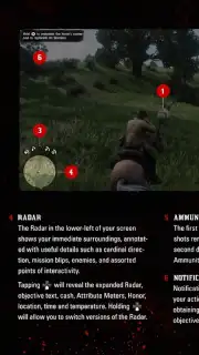 RDR2: Companion capture 5