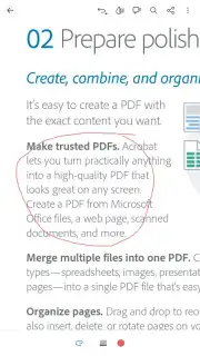 Adobe Acrobat Reader capture 9