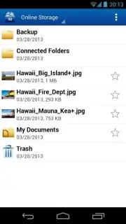 Online Storage capture 3