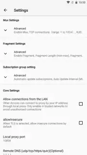 v2rayNG capture 12