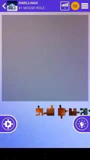 100 PICS Puzzles capture 4