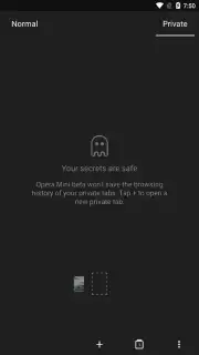 Opera Mini beta capture 5