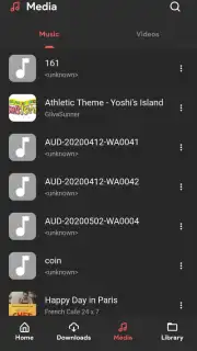 SongTube capture 9