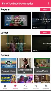 Flvto YouTube Downloader capture 5