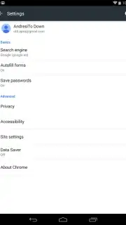 Chrome Dev capture 1