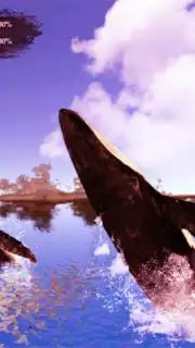 The Humpback Whales capture 20