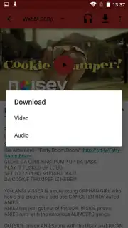 NewPipe capture 18