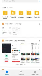Huawei File Manager capture 2