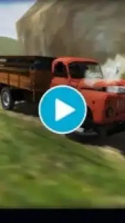 Truck Driver 3D capture 1